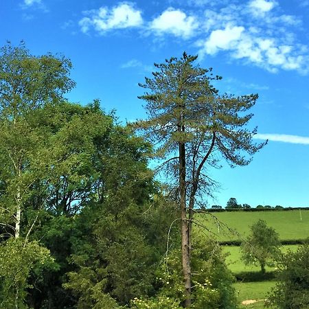 Heddfan Bed and Breakfast Llanboidy Buitenkant foto
