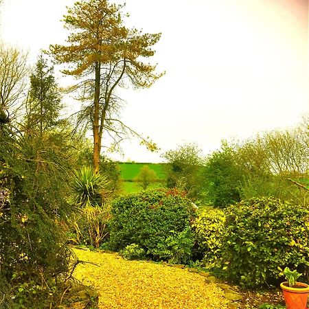 Heddfan Bed and Breakfast Llanboidy Buitenkant foto