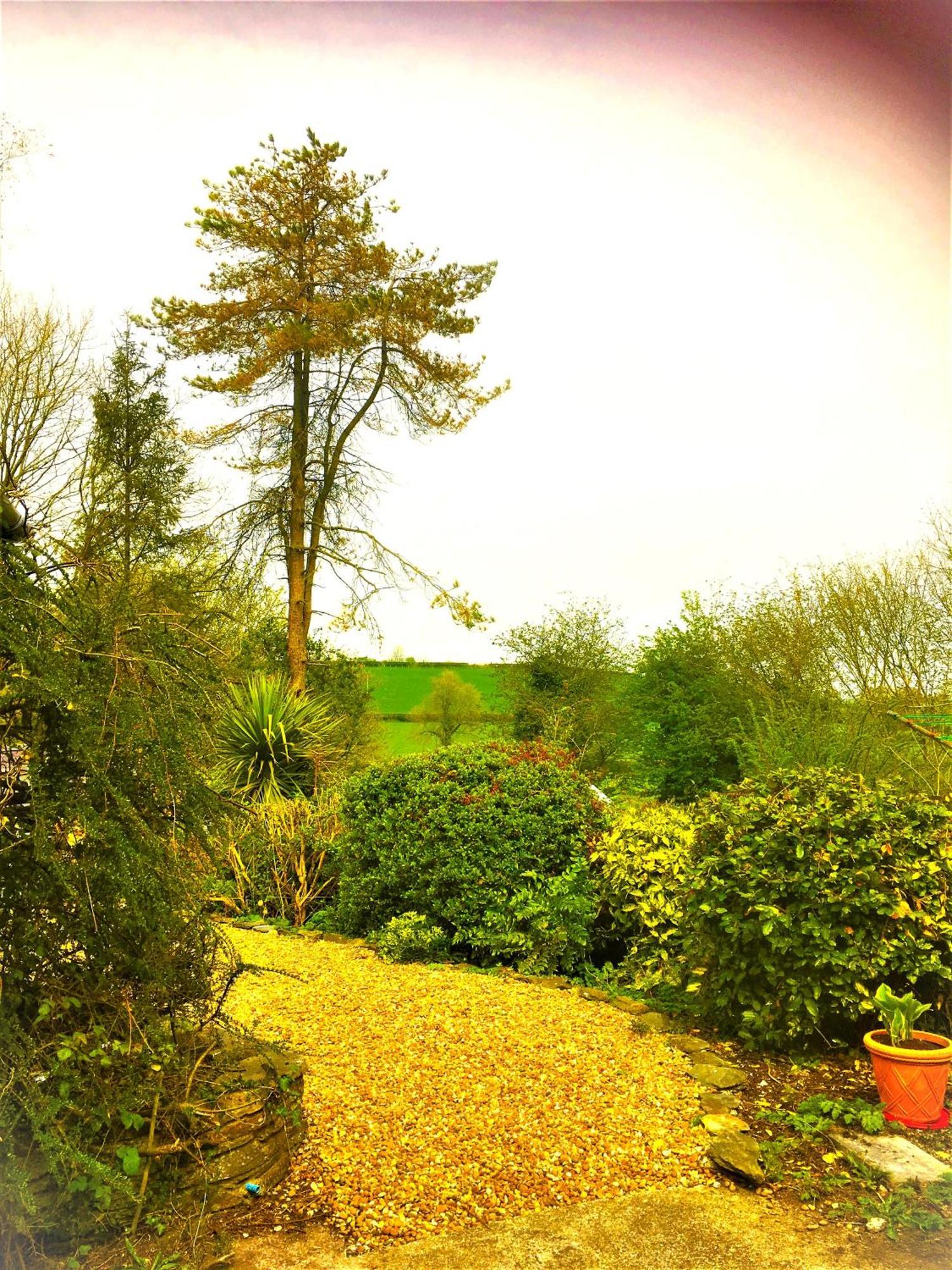 Heddfan Bed and Breakfast Llanboidy Buitenkant foto