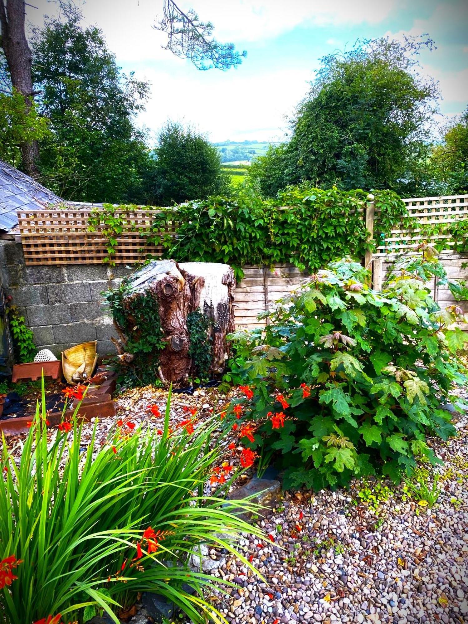 Heddfan Bed and Breakfast Llanboidy Buitenkant foto